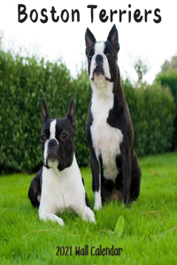 Boston Terriers 2021 Wall Calendar
