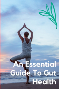 Essential Guide to Gut Health