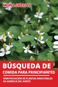 Búsqueda de comida para principiantes