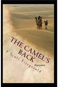 The Camel's Back Illustrated