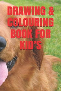 Drawing & Colouring Book for Kid's