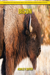 Bison