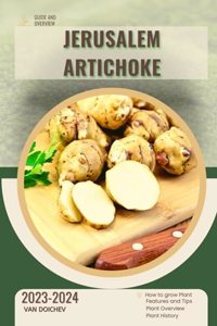 Jerusalem Artichoke