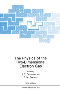 Physics of the Two-Dimensional Electron Gas