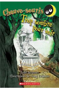 Trop Sombre Pour Voir