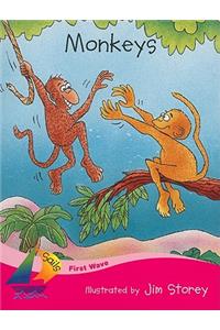 Monkeys