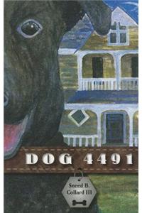 Dog 4491