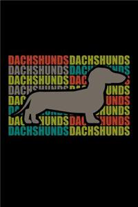 Dachshund