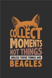 Collect Moments Not Things Unless Those Things Are Beagles