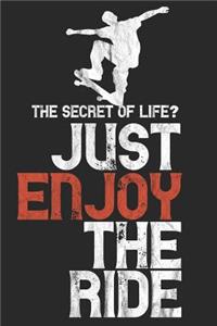 The Secret of Life? Just Enjoy the Ride - Skate