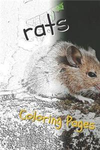 Rat Coloring Pages