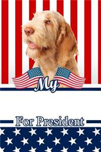 My Spinone Italiano for President