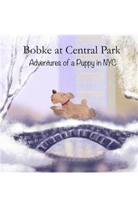Bobke at Central Park