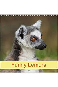 Funny Lemurs 2017
