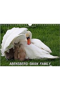 Abensberg Swan Family 2018