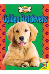 Golden Retrievers