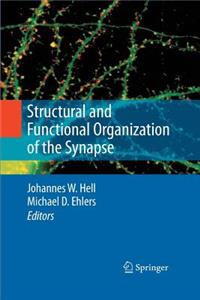 Structural and Functional Organization of the Synapse