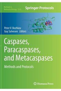 Caspases, Paracaspases, and Metacaspases