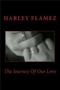 Journey Of Our Love