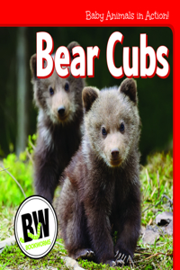 Bear Cubs