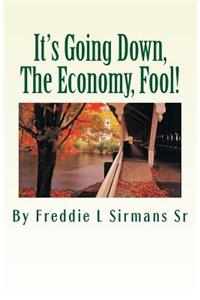 It's Going Down, The Economy, Fool!