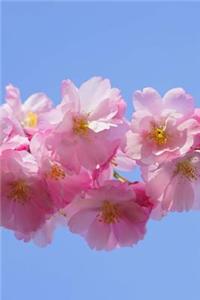Japanese Cherry Blossom Journal