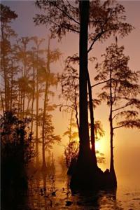Okefenokee Swamp at Sunset in Florida