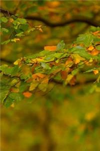 Tree Branch Journal