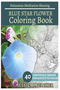 Blue Star Flower Coloring Book for Adults Relaxation Meditation Blessing: Sketches Coloring Book 40 Grayscale Images