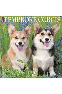 Just Pembroke Corgis 2019 Wall Calendar (Dog Breed Calendar)