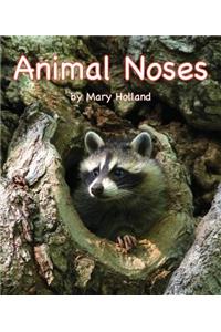 Animal Noses