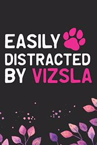 Easily Distracted by Vizsla