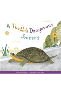 Turtle's Dangerous Journey