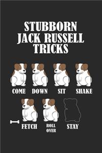 Stubborn Jack Russell Tricks