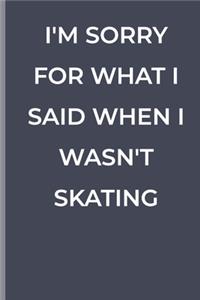 I'm Sorry for What I Said When I Wasn't Skating