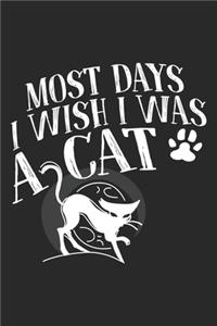 Most Days I Wish I Was A Cat