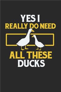 Yes I Really Do Need All These Ducks