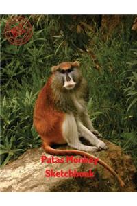 Patas Monkey Sketchbook