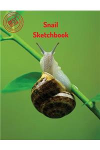 Snail Sketchbook