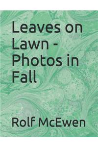 Leaves on Lawn - Photos in Fall