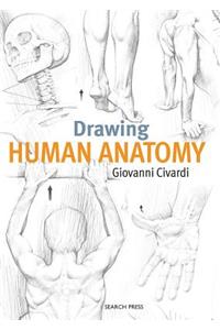 Drawing Human Anatomy