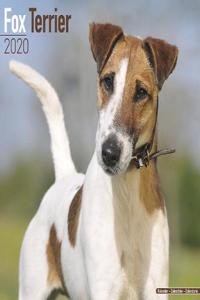 Fox Terrier Calendar 2020