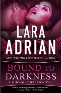 Bound to Darkness: A Midnight Breed Novel