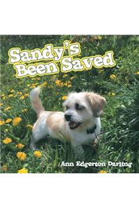Sandy's Been Saved