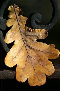 Wonderful Autumn Oak Leaf Journal
