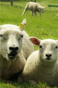 Mother Ewe and Her Lamb Relaxing Journal