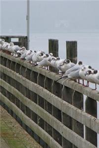 Sea Gulls on a Pier Journal