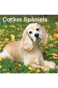 Cocker Spaniels 2020 Square