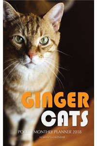 Ginger Cats Pocket Monthly Planner 2018