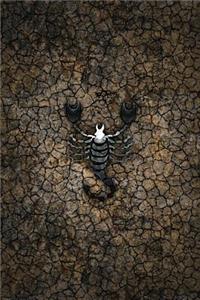 Monogram Scorpio Journal